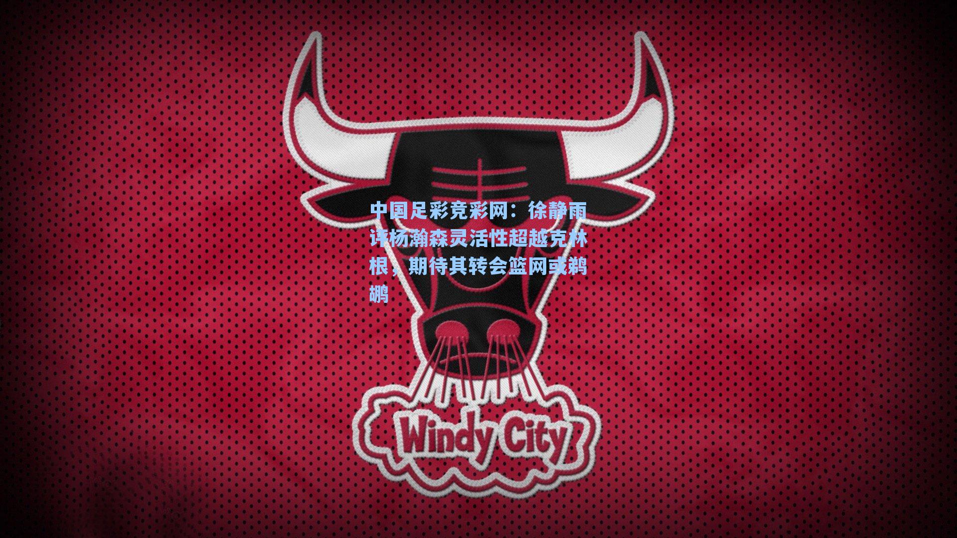 徐静雨评杨瀚森灵活性超越克林根,期待其转会篮网或鹈鹕