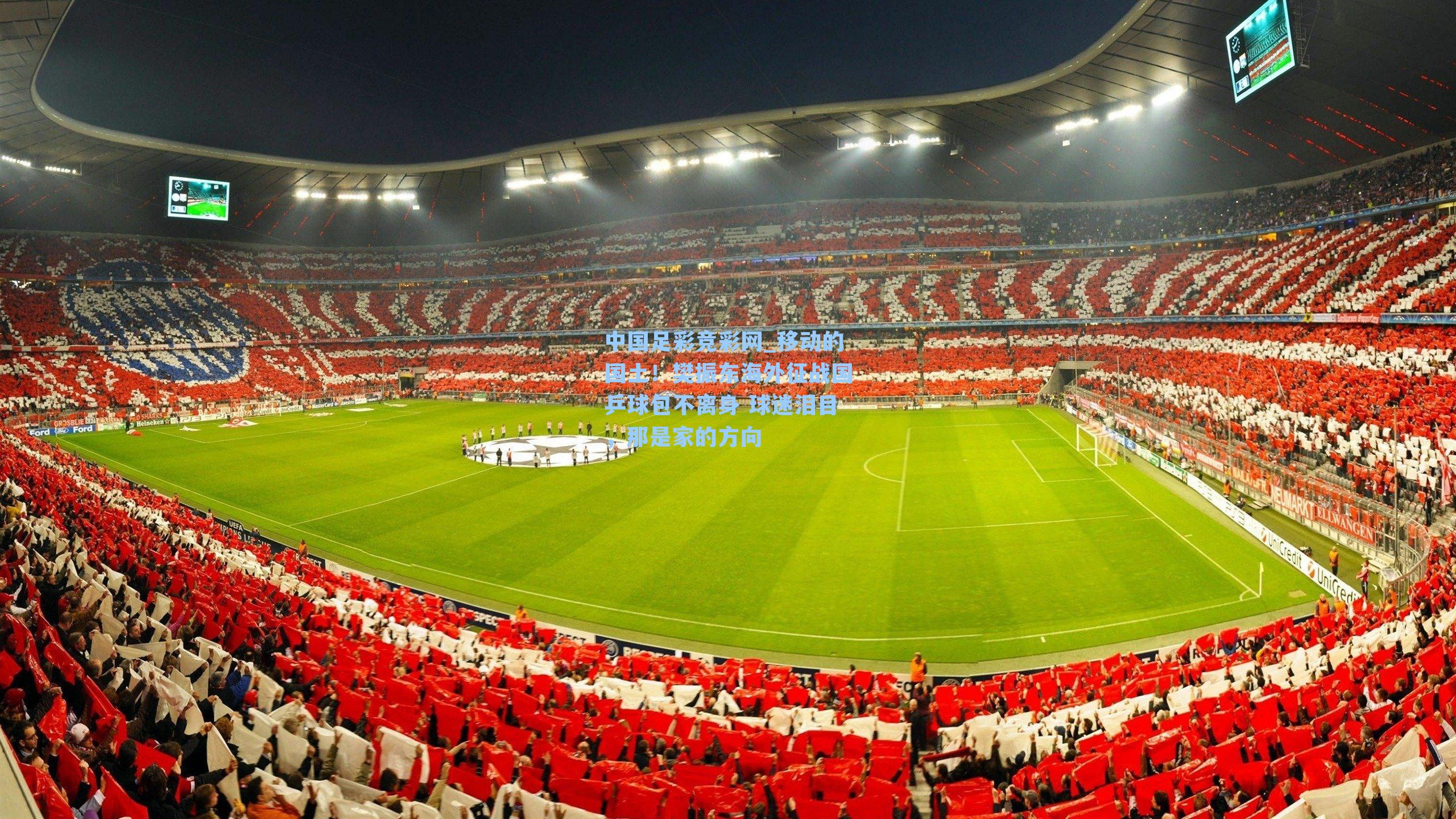 移动的国土!樊振东海外征战国乒球包不离身 球迷泪目,那是家的方向