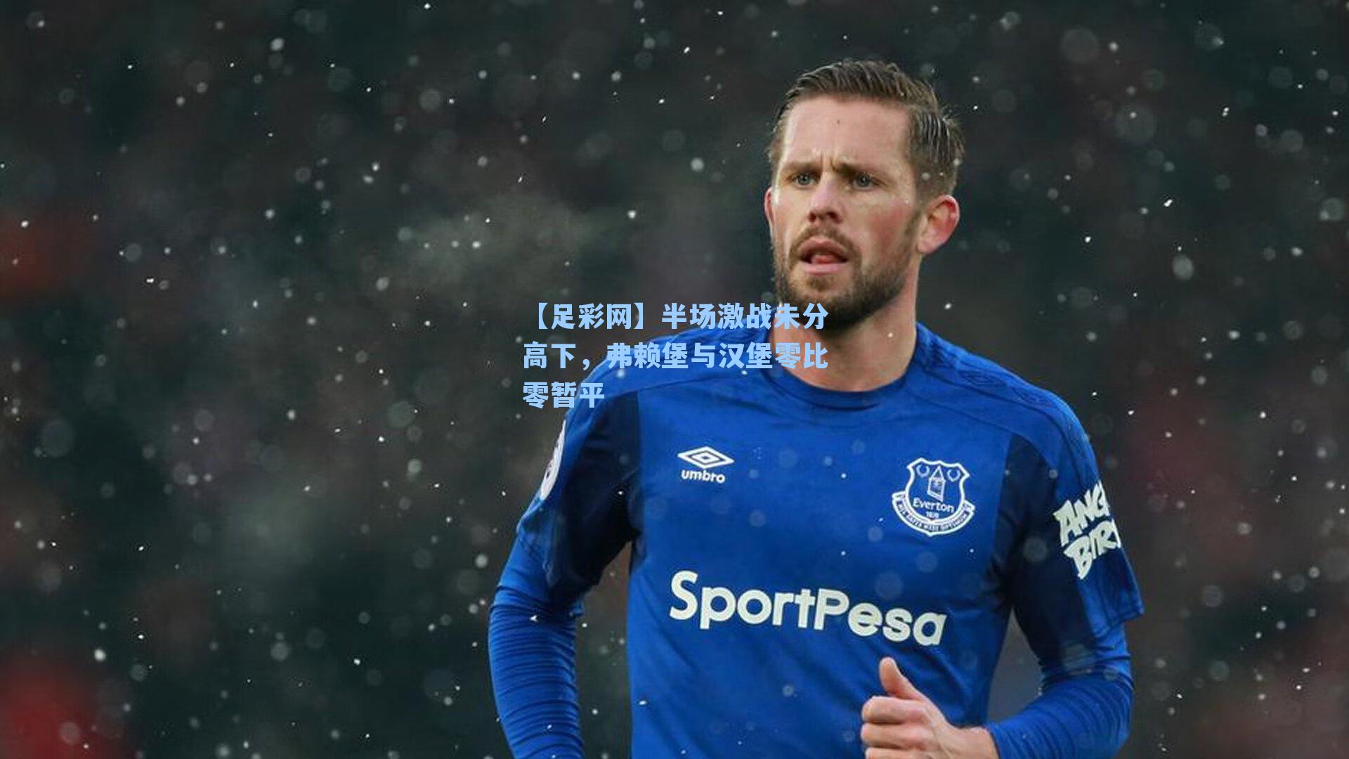 半场激战未分高下，弗赖堡与汉堡零比零暂平